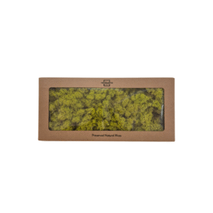 Licheni stabilizati Verde Deschis