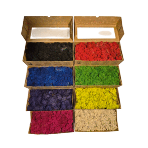 licheni stabilizati - negru - albastru - mov - roz magenta - rosu - verde - verde deschis - alb natural