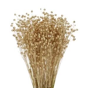 Lino Grass   In Decorativ uscat Auriu/Gold