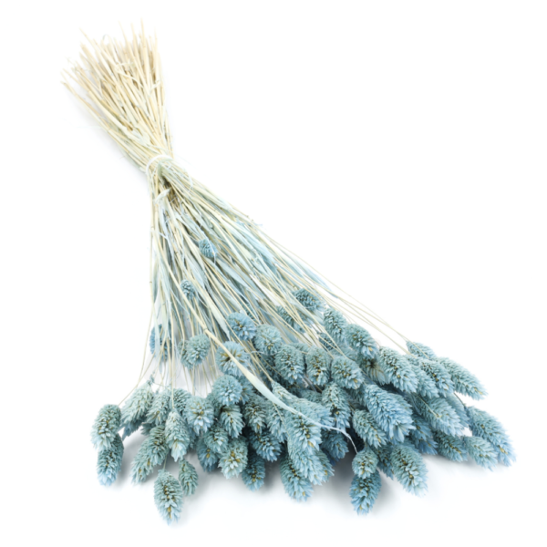 Talaris uscat Albastru Deschis/Baby Blue