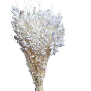 Briza Maxima uscata Alb   25/50/100 gr 