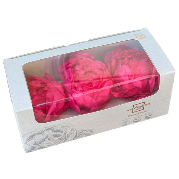 Bujor Paeonia Roz Inchis criogenat