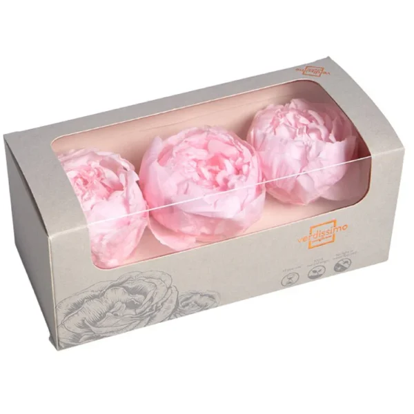 Bujor Paeonia Roz Pastel criogenat