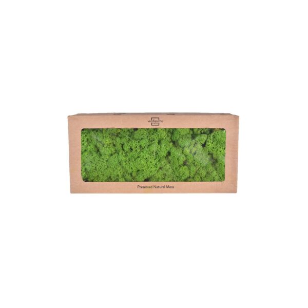 Licheni stabilizati Verde Mar