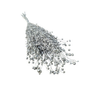 Lino Grass – In Decorativ uscat Argintiu/Silver