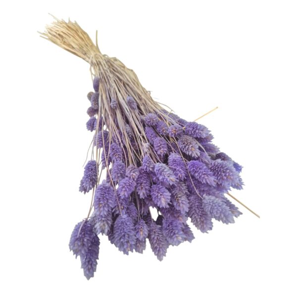 Talaris uscat Lila Deschis/Lavanda