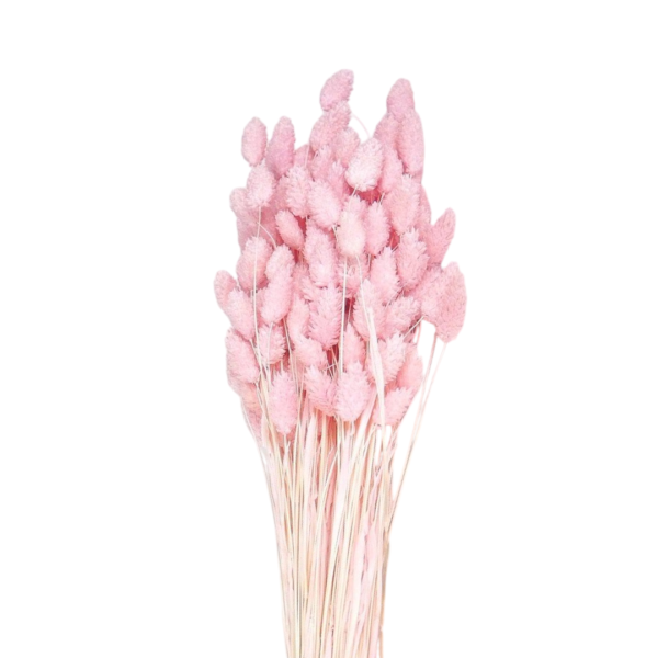 Talaris uscat Roz Deschis   25/50/100 gr 