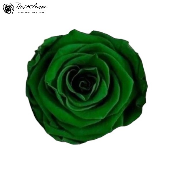 Trandafir criogenat Verde