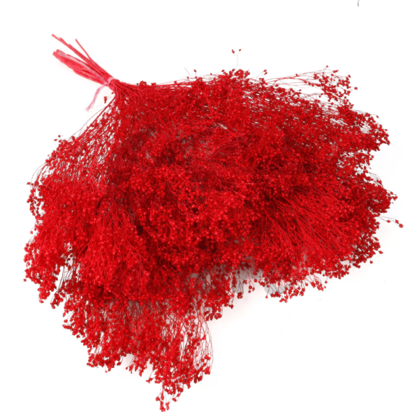 Broom Bloom uscat Rosu Intens – 25/50/100 gr 