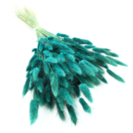 Turcoaz