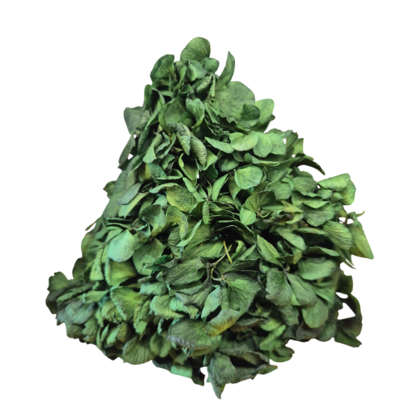 OUTLET   Hortensia criogenata Verde Inchis/Smarald/Padure