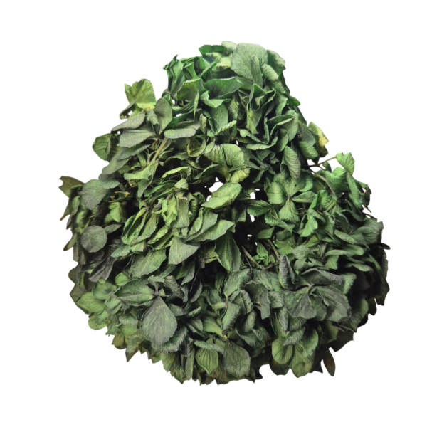 OUTLET   Hortensia criogenata Verde Inchis/Smarald/Padure