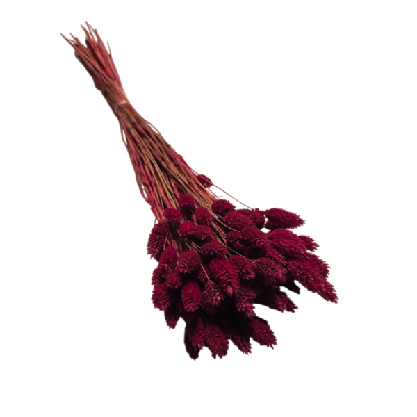 Talaris uscat Bordeaux 25/50/100 gr