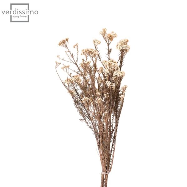 Floare de orez stabilizata Alb
