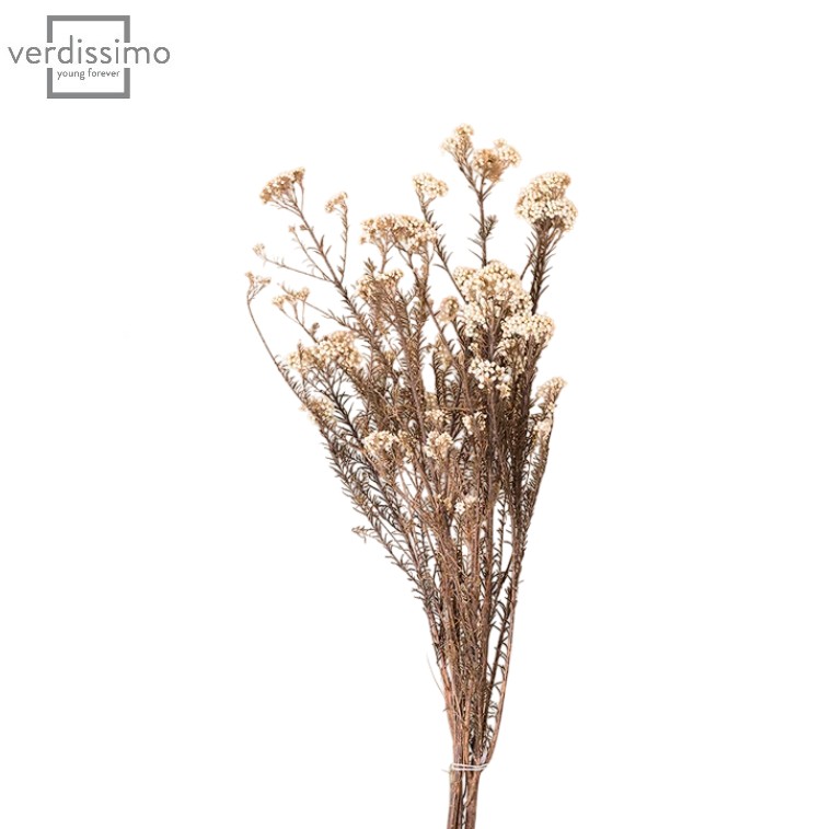 Floare de orez stabilizata Alb
